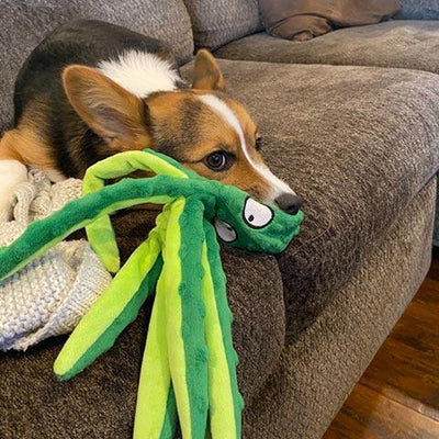 Brinquedo Mastigável Polvo Anti Stress Para Cães